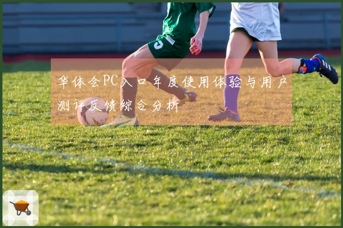 华体会PC入口年度使用体验与用户测评反馈综合分析