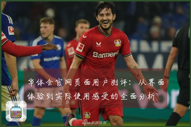 华体会官网页面用户测评：从界面体验到实际使用感受的全面分析